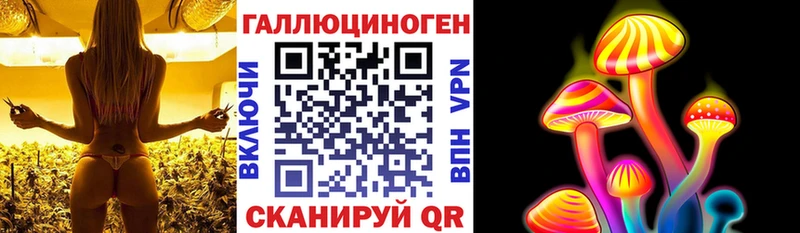 Псилоцибиновые грибы Cubensis  Петрозаводск 